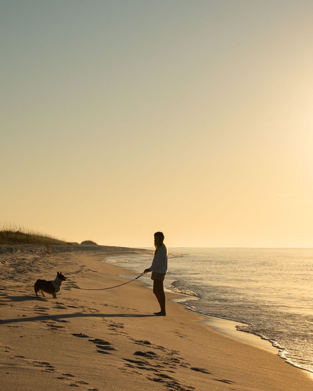 Silhouette of person walking dog on beach during sunset with ocean waves.