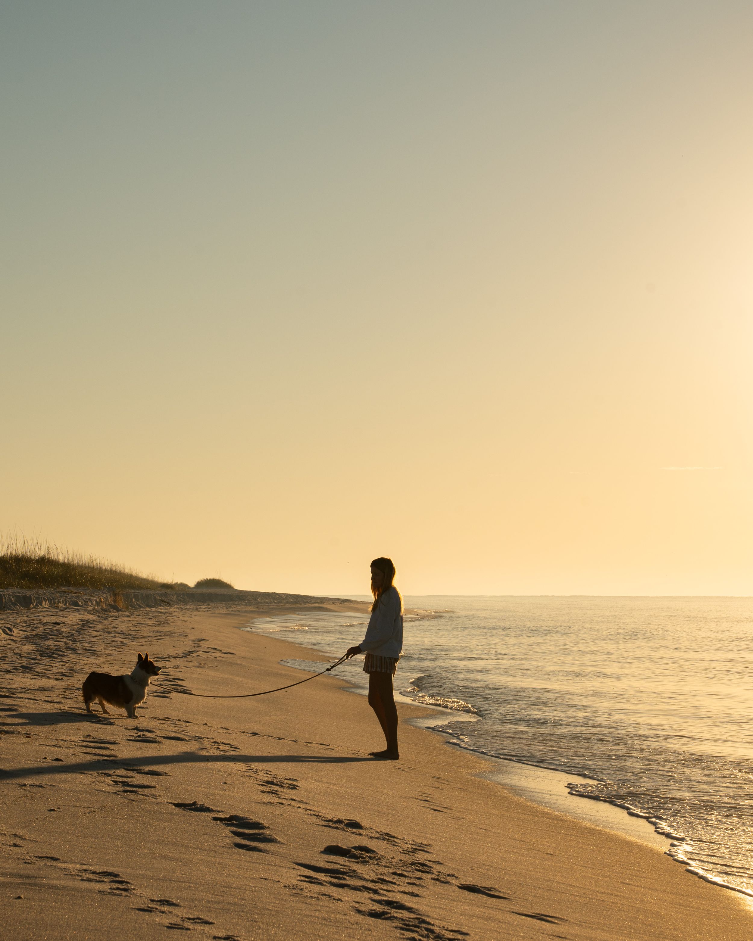 Silhouette of person walking dog on beach during sunset with ocean waves.