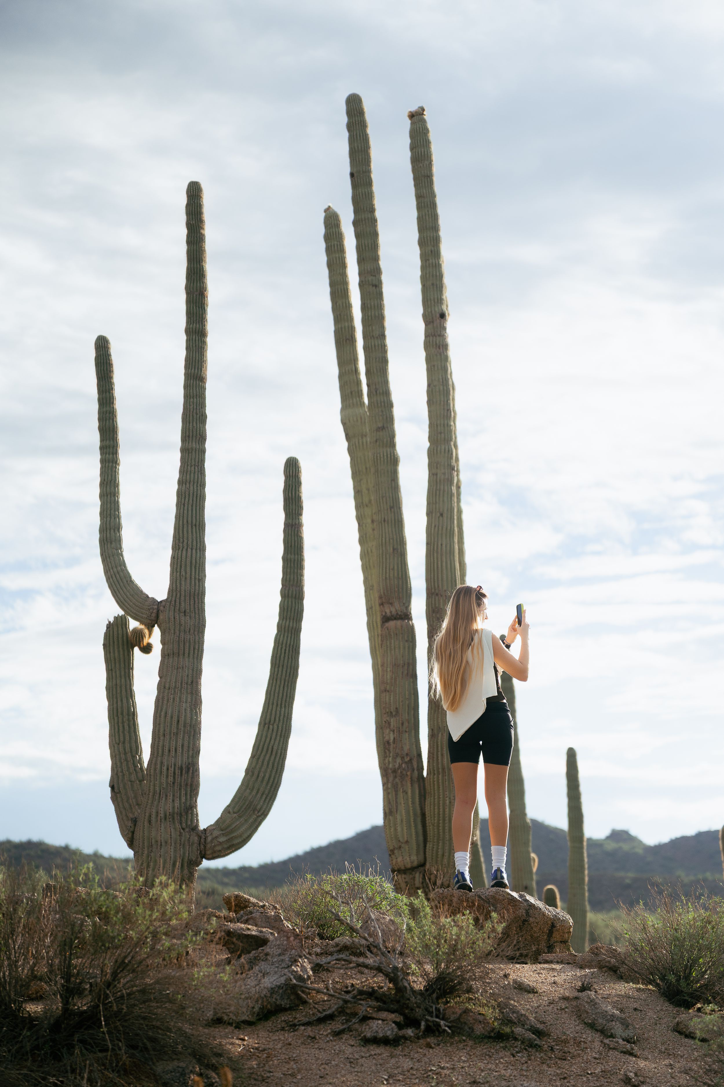 Three sequential shots of a saguaro cactus in the Arizona desert against a cloudy sky with mountains in the background.
