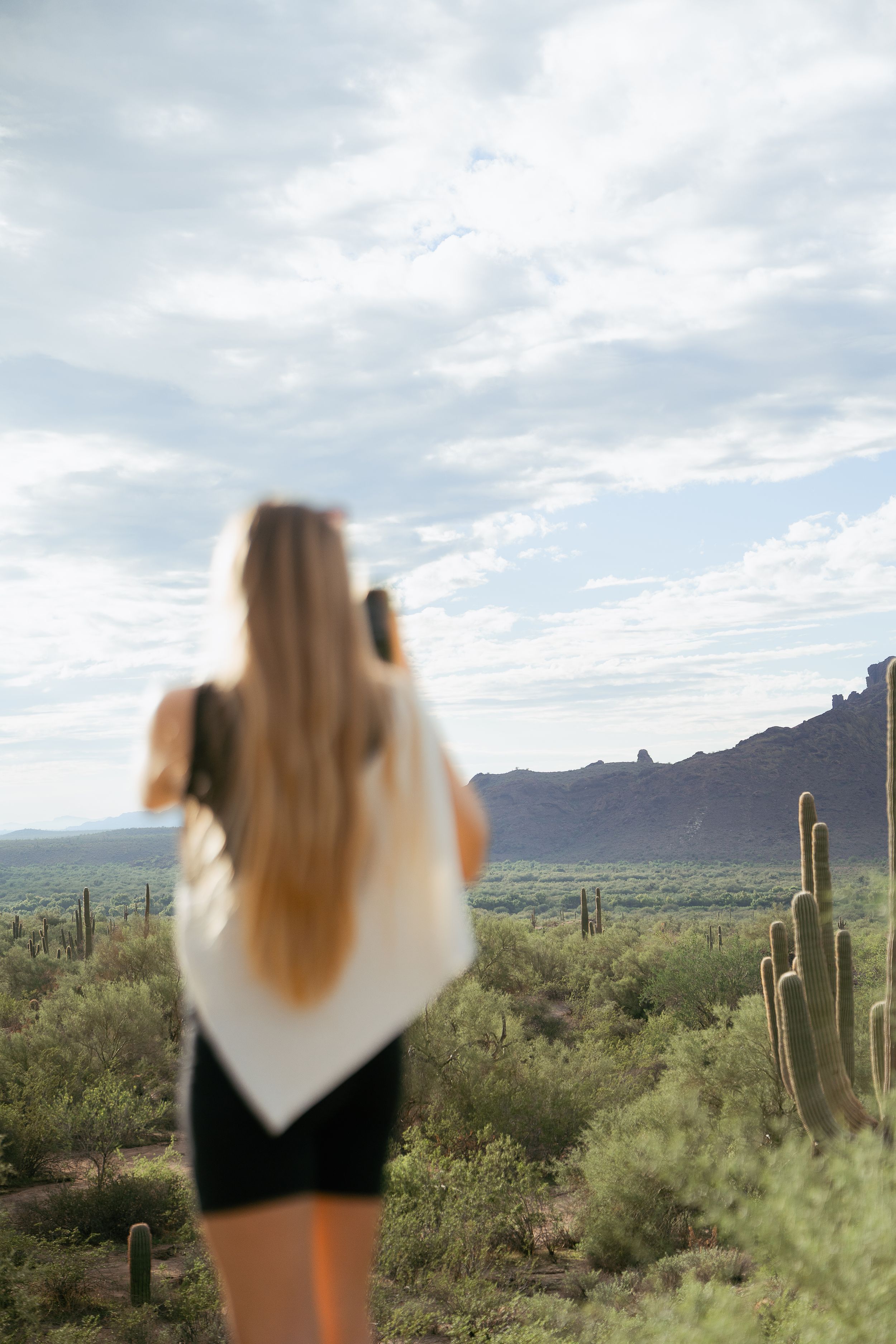 A scenic desert landscape with tall saguaro cacti and mountains under cloudy skies in the Arizona wilderness.