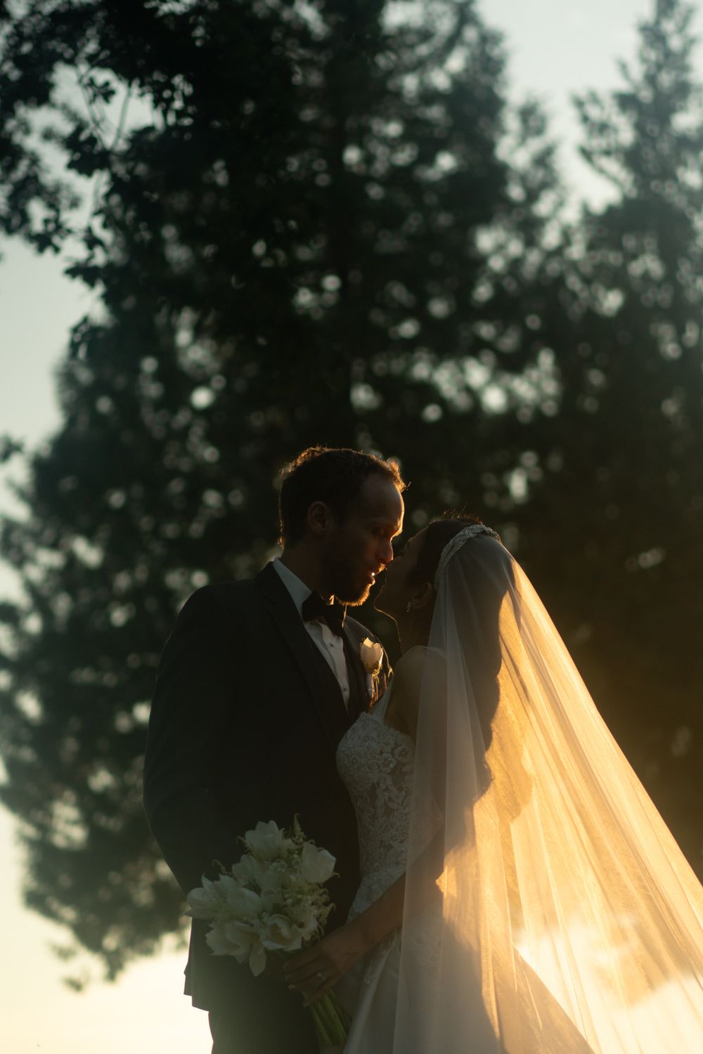 Silhouette of a wedding couple in sunset light with pine trees in background.
