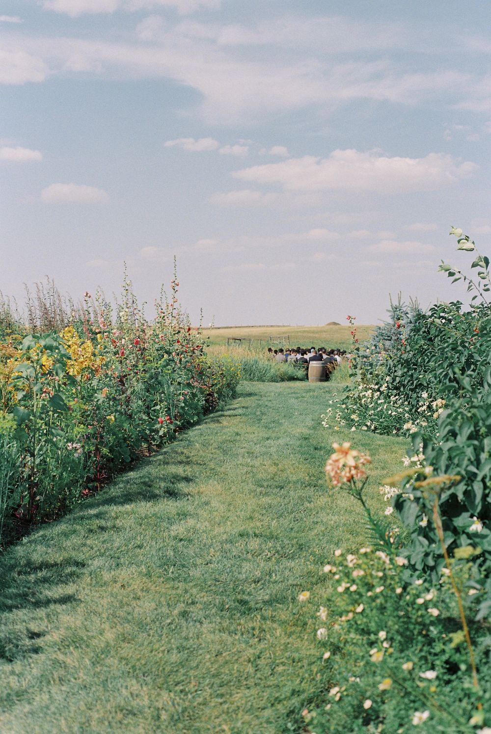 Garden path lined with wildflowers and greenery under blue summer sky.