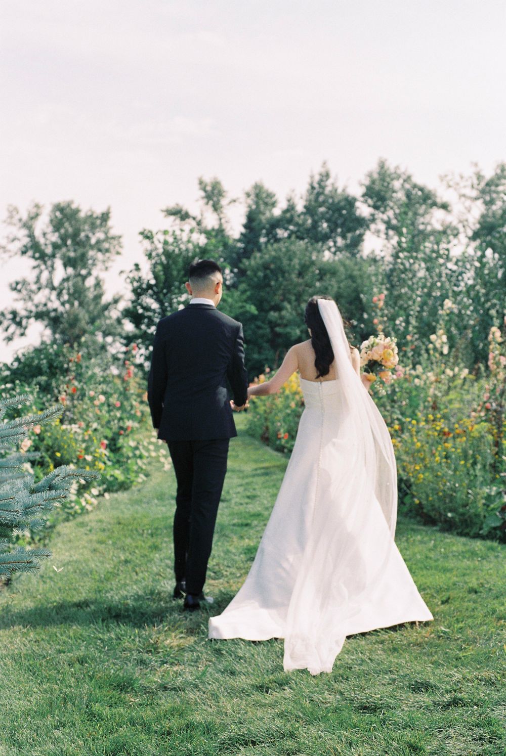 Long wedding gown trailing behind couple walking through garden path.