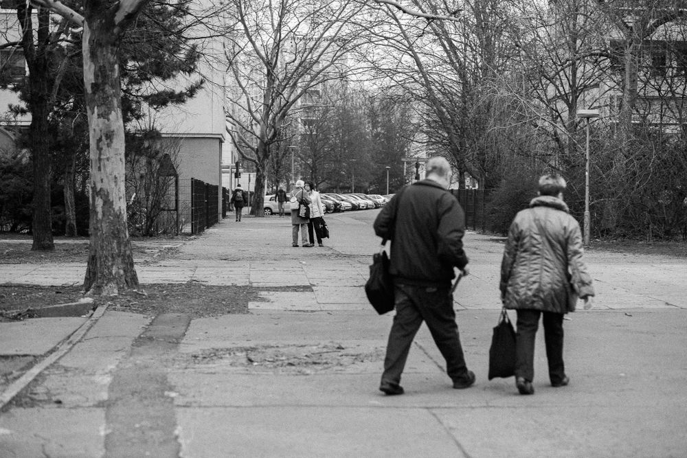 Two figures walk down a tree-lined sidewalk on a winter day in black and white.