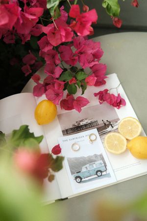 Bright pink bougainvillea flowers frame a vintage car illustration book with citrus slices on white surface.