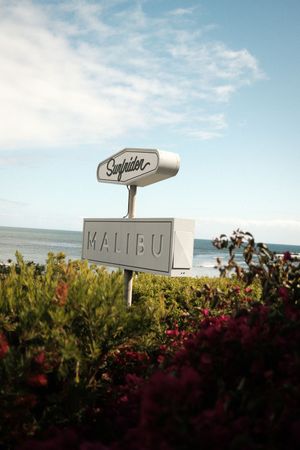 A retro-style Malibu sign surrounded by coastal vegetation against a blue sky with wispy clouds.