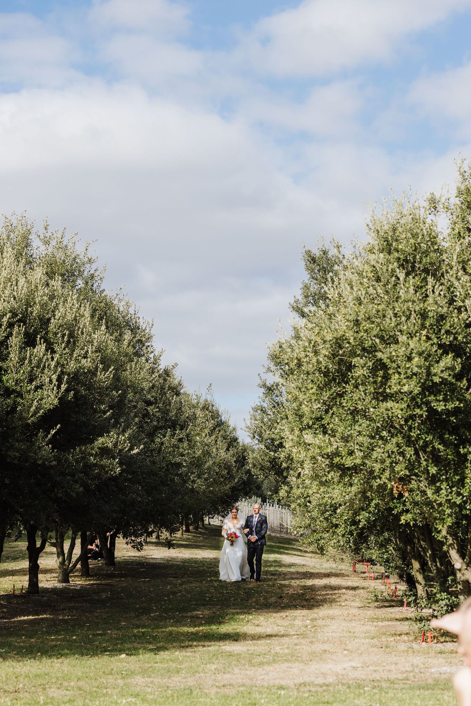 Two figures walk together down a scenic path lined with olive trees on a sunny day with white clouds in the sky.
