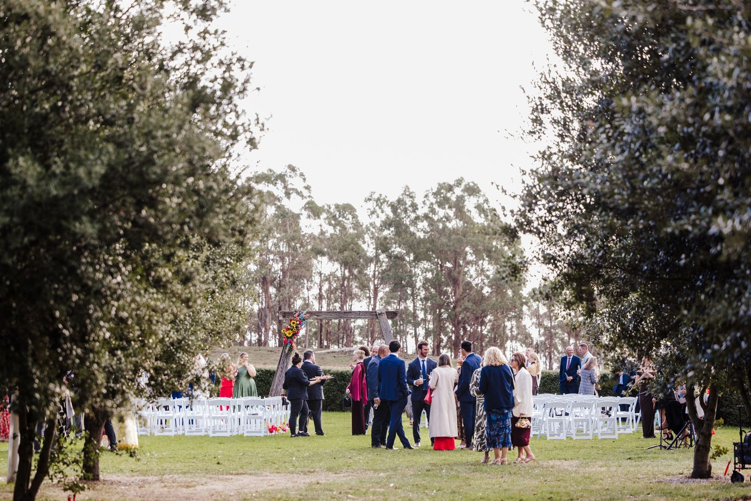 A panoramic view of people gathering in a park area with trees and open space on an overcast day.