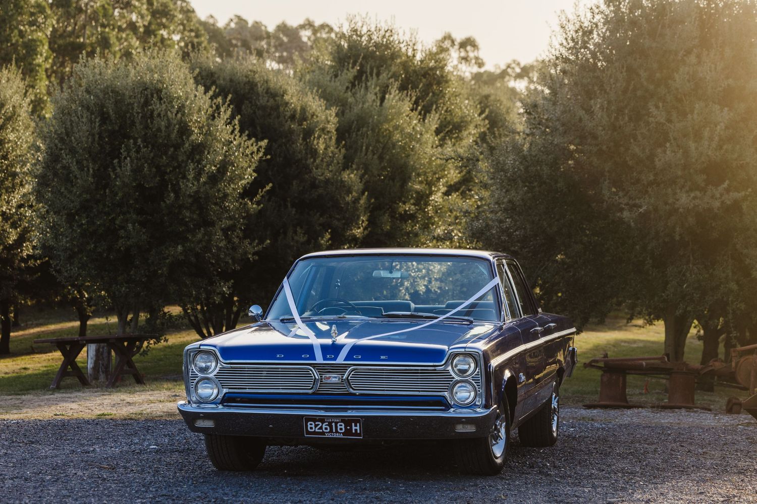 A panoramic view of vintage blue classic cars parked in a row at sunset with trees in the background.