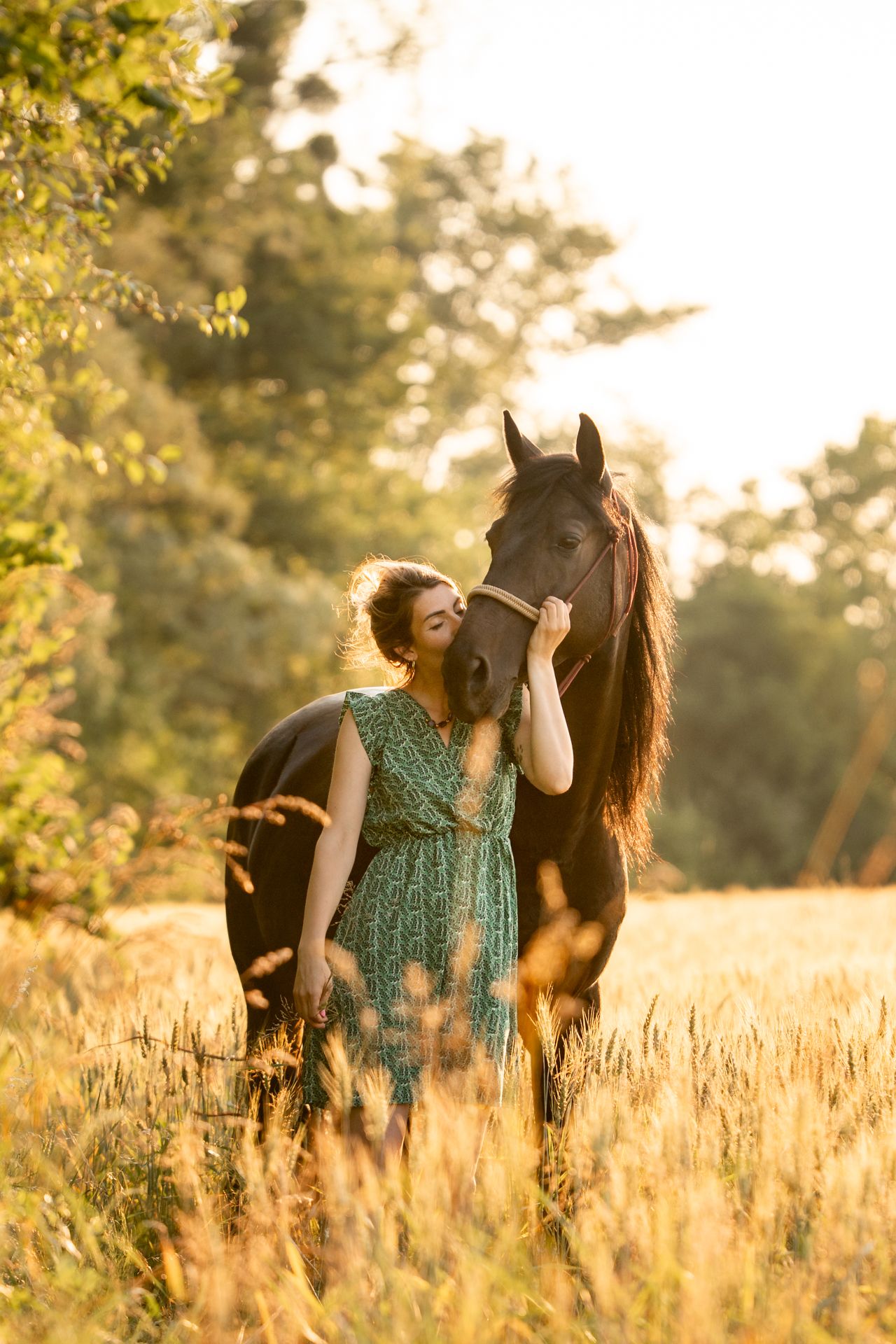 A young woman in a green dress tenderly kisses a dark horse in a sunlit golden field.