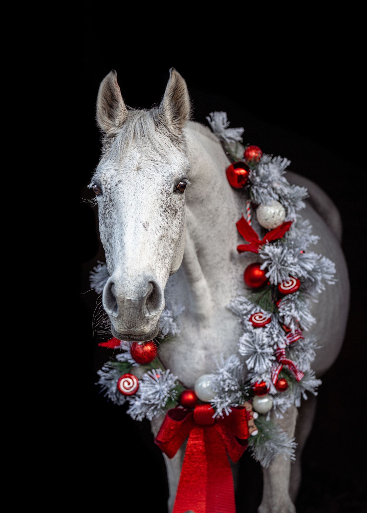 A white horse figure decorated with red and silver Christmas ornaments and tinsel against a black background.
