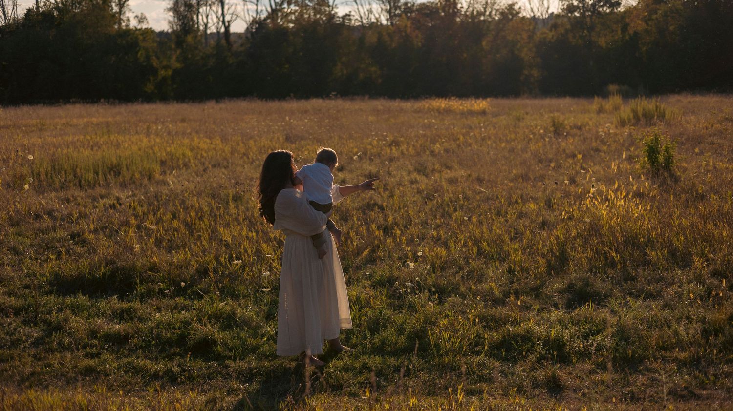 A series of panoramic photos showing a golden field at sunset with silhouettes of people and trees in the distance.