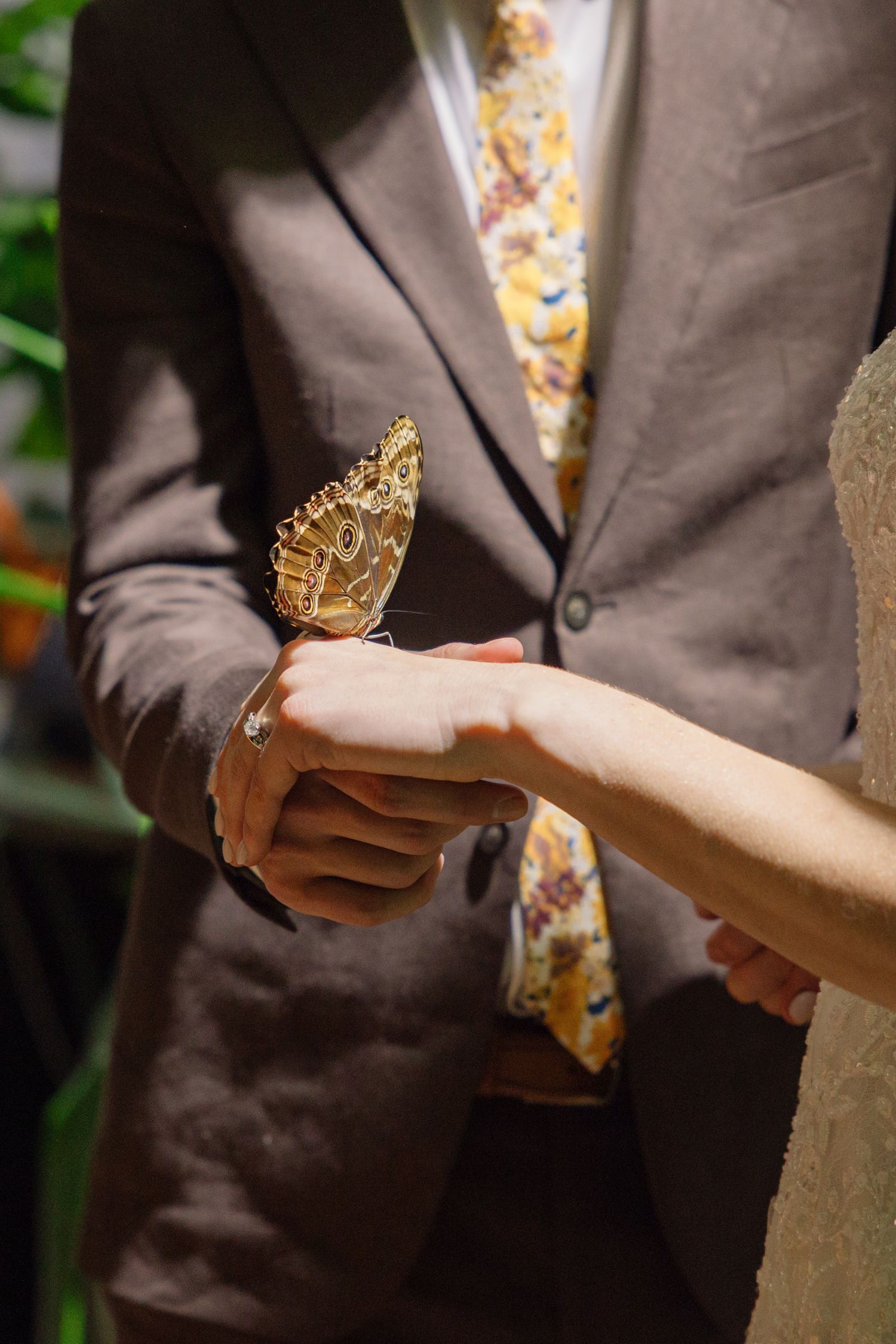 A delicate butterfly lands on clasped hands during an elegant wedding ceremony, with a brown suit and floral tie visible.