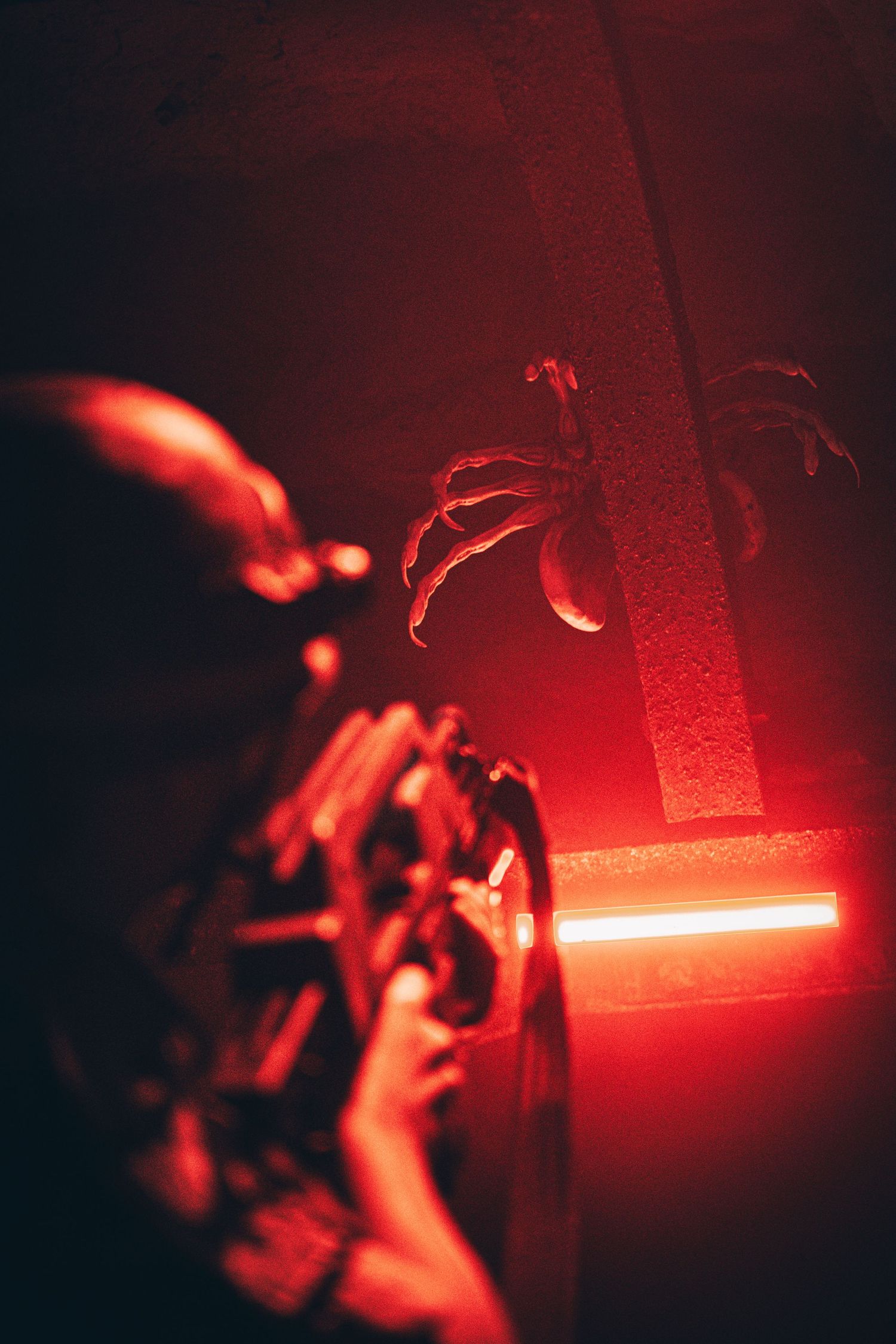 face hugger