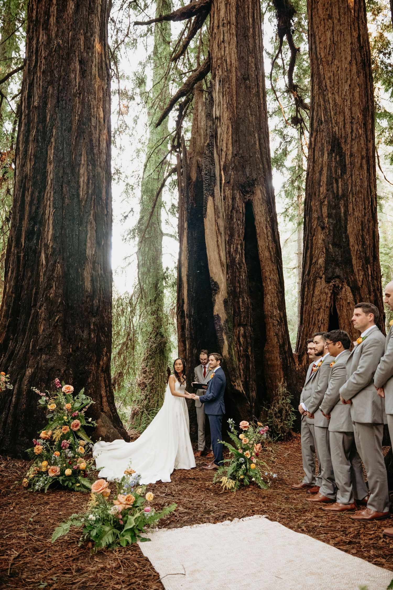 wedding ceremony in the redwoods