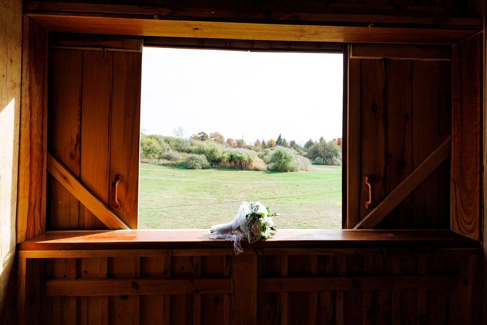 Rustic barn door frames a scenic view of rolling green hills and countryside landscape.