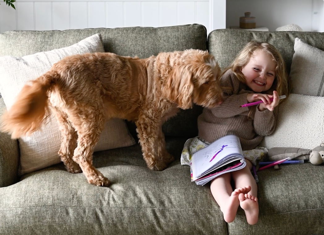 Golden spaniel dog cuddling with child on a green sofa.