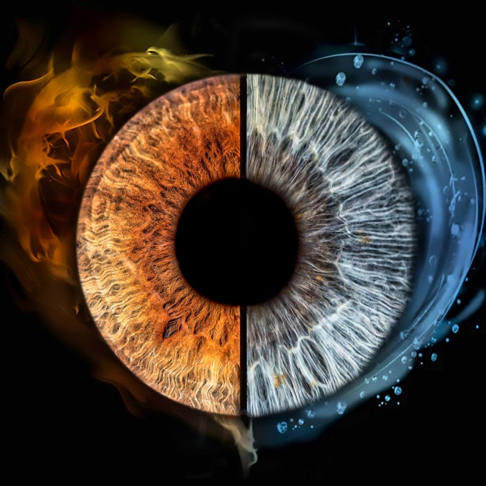 Artistic macro photography series showing split-colored human irises transitioning from amber to blue against black background.