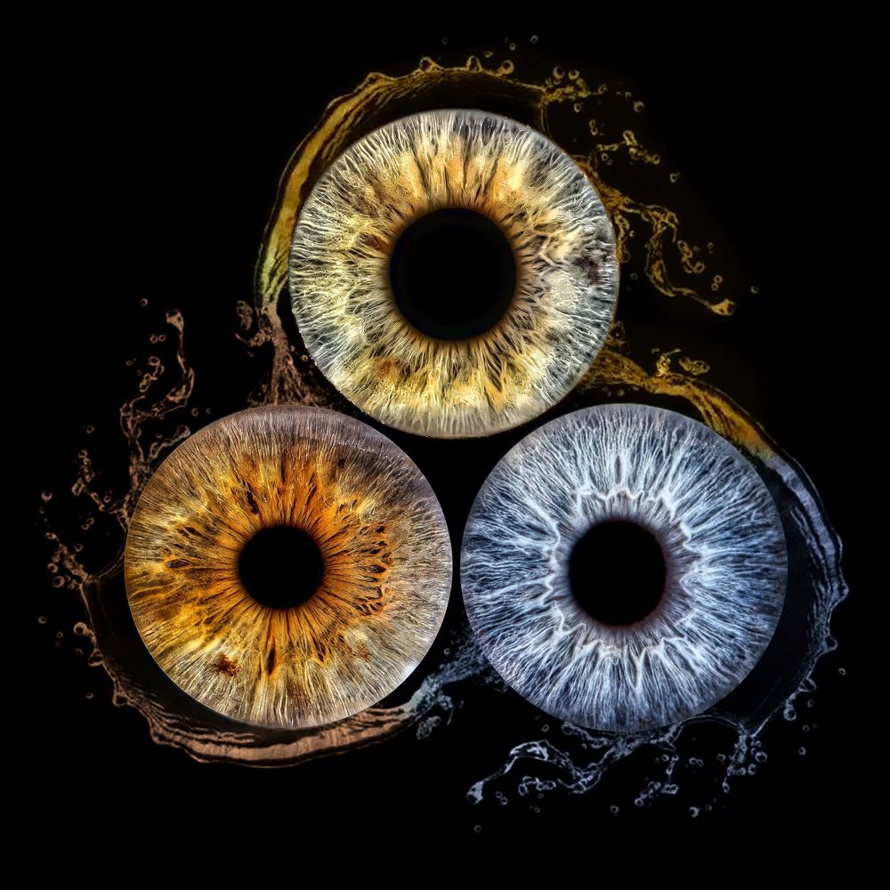 Macro photograph of three human irises in gold, amber and blue colors with dark pupils against black background.