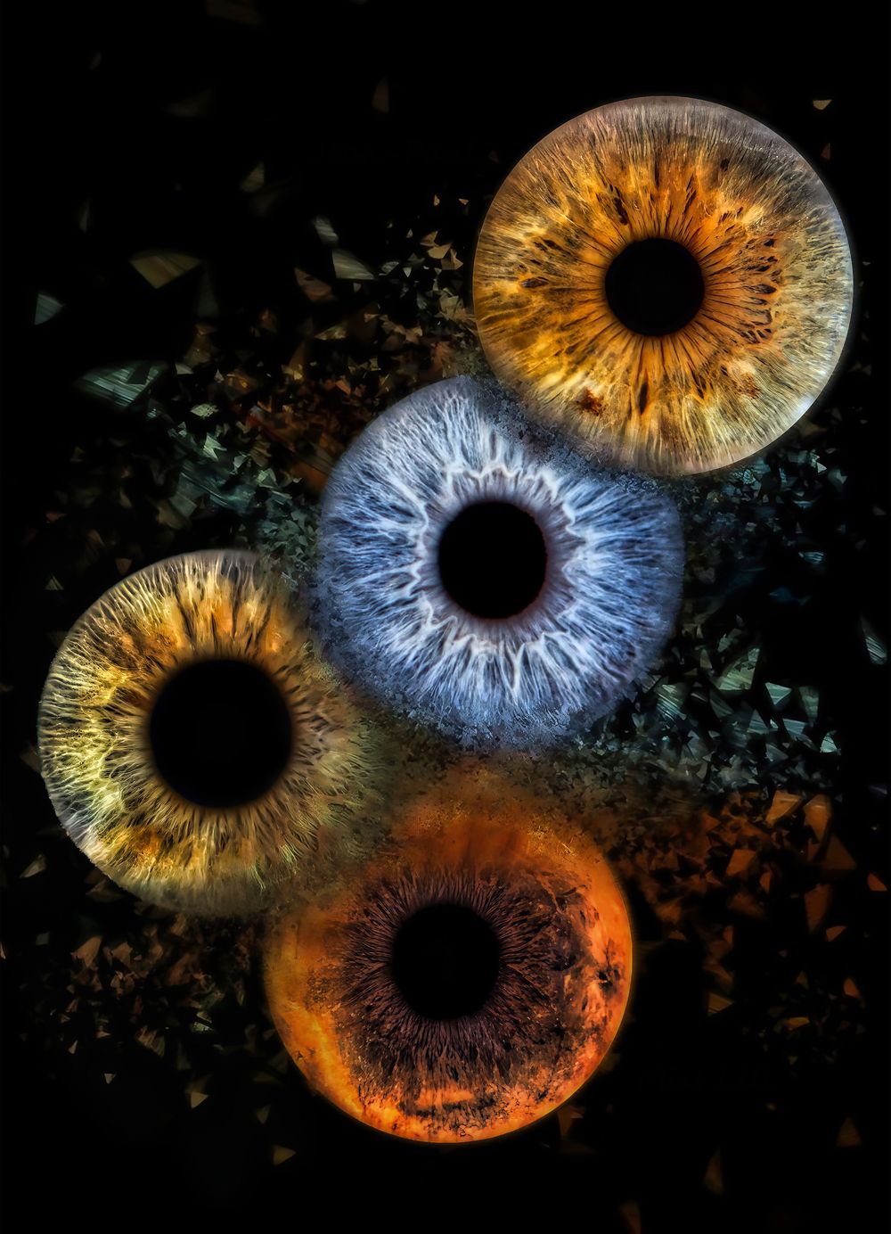 Detailed macro shots of human irises in amber and blue colors arranged on black background with scattered particles.