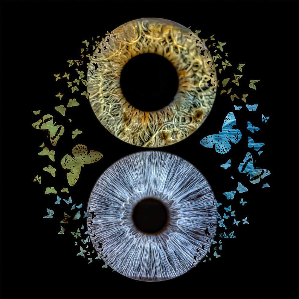 Artistic digital illustration of eyes with blue butterflies and floral elements against a black background.