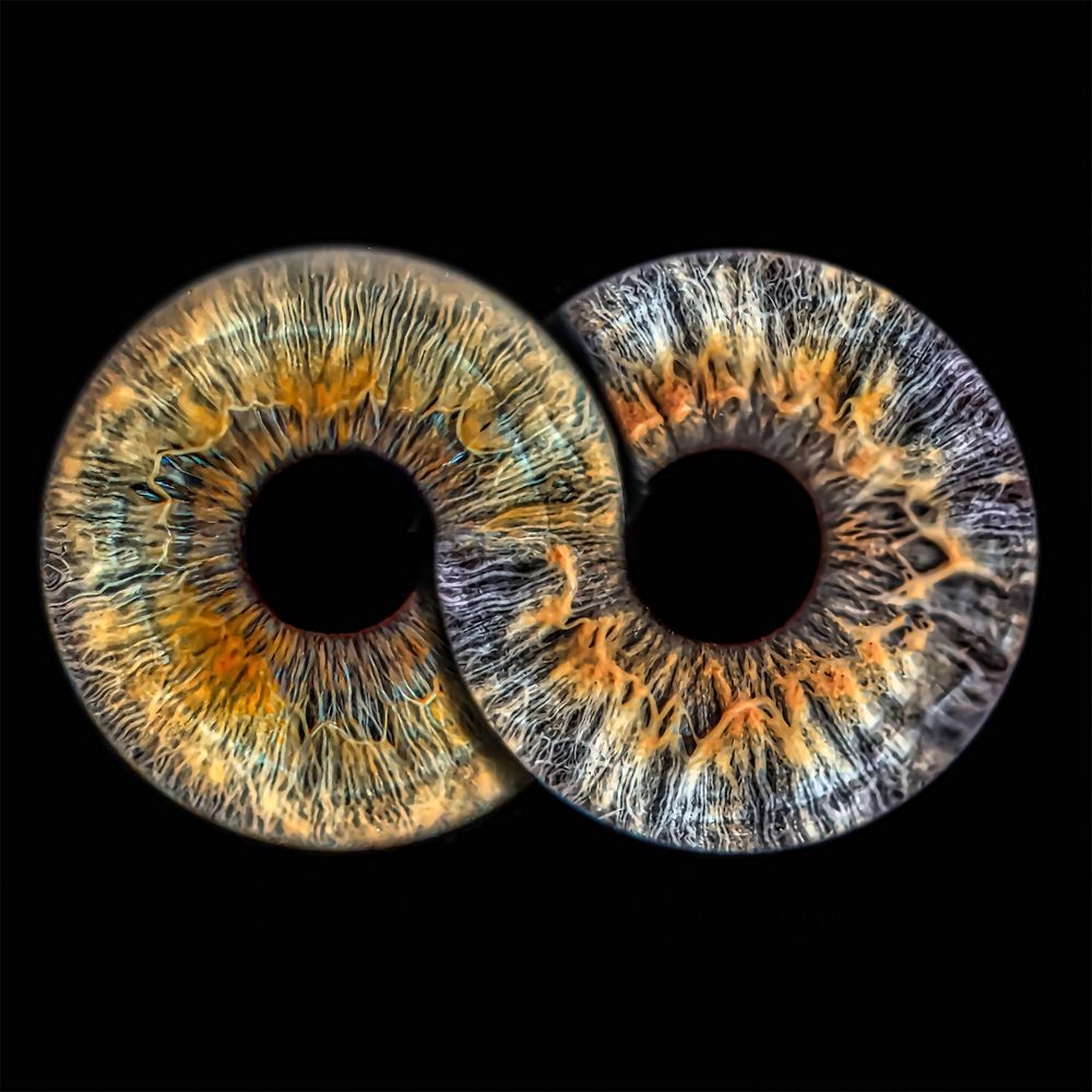Close-up macro photograph of two human irises showing intricate patterns in orange, blue and silver tones against black background.