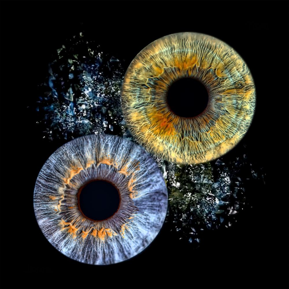 Panoramic arrangement of detailed iris patterns in gold and silver tones with scattered particles.
