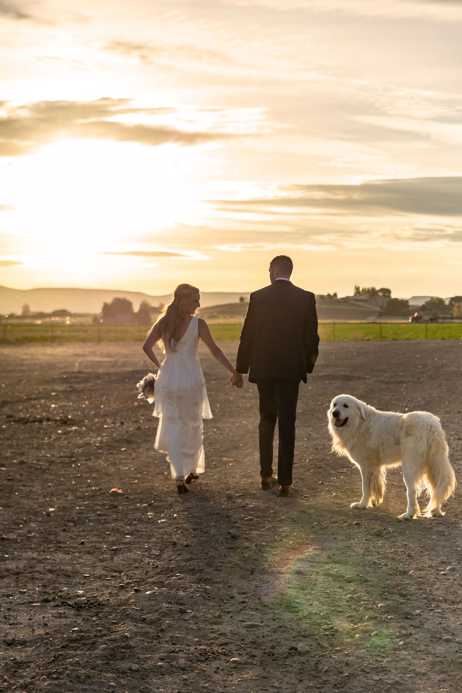 bride and groom in pastures with goats and dog, sunset over mountains