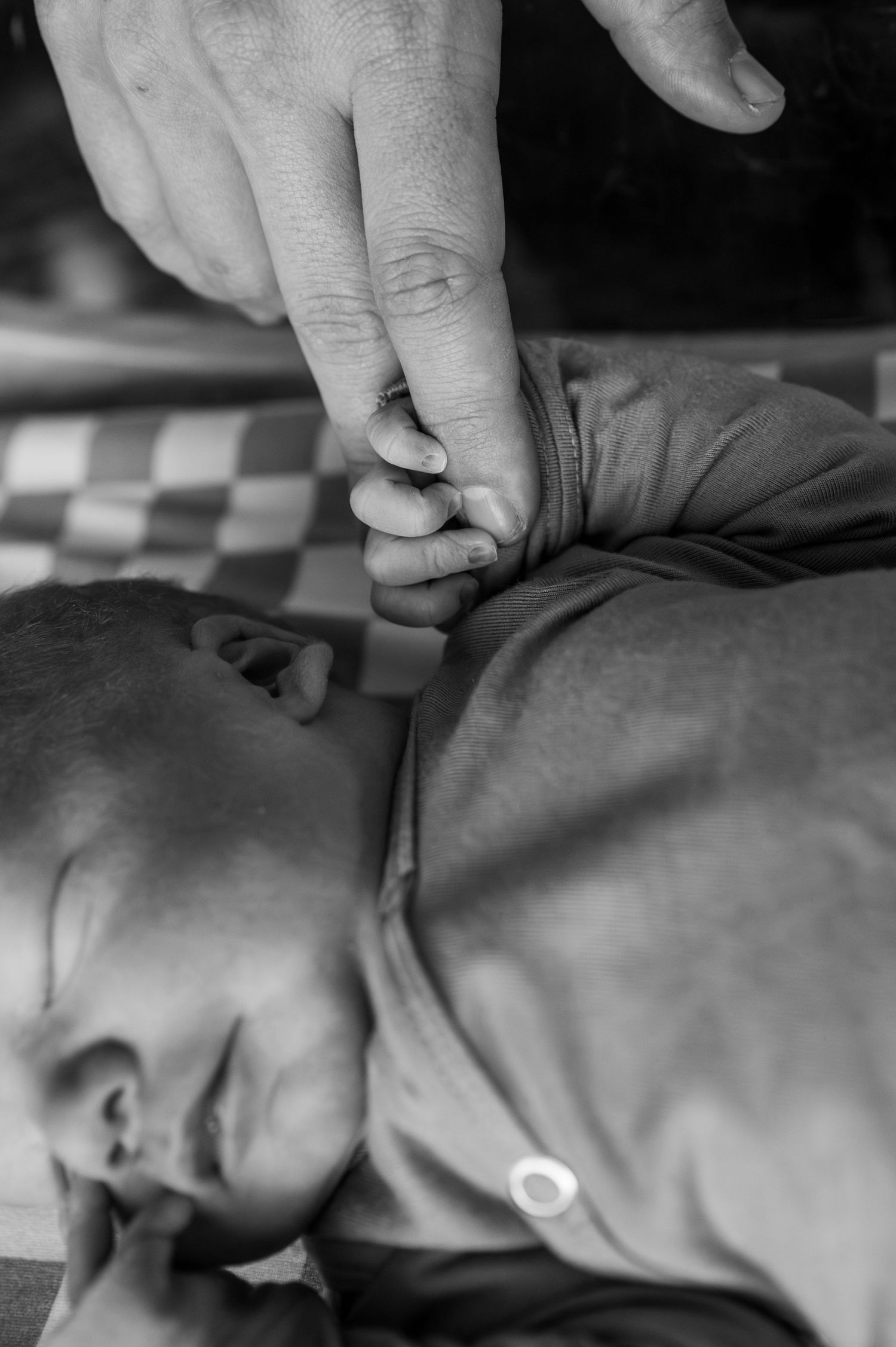 Montana Newborn Photos