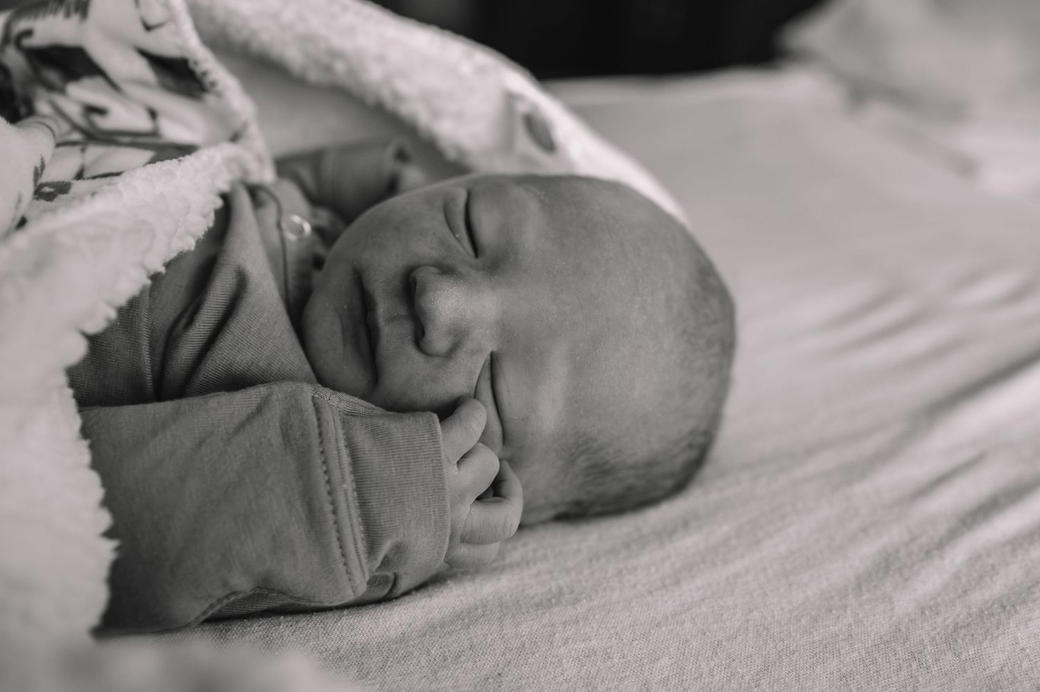 Newborn Photos Montana