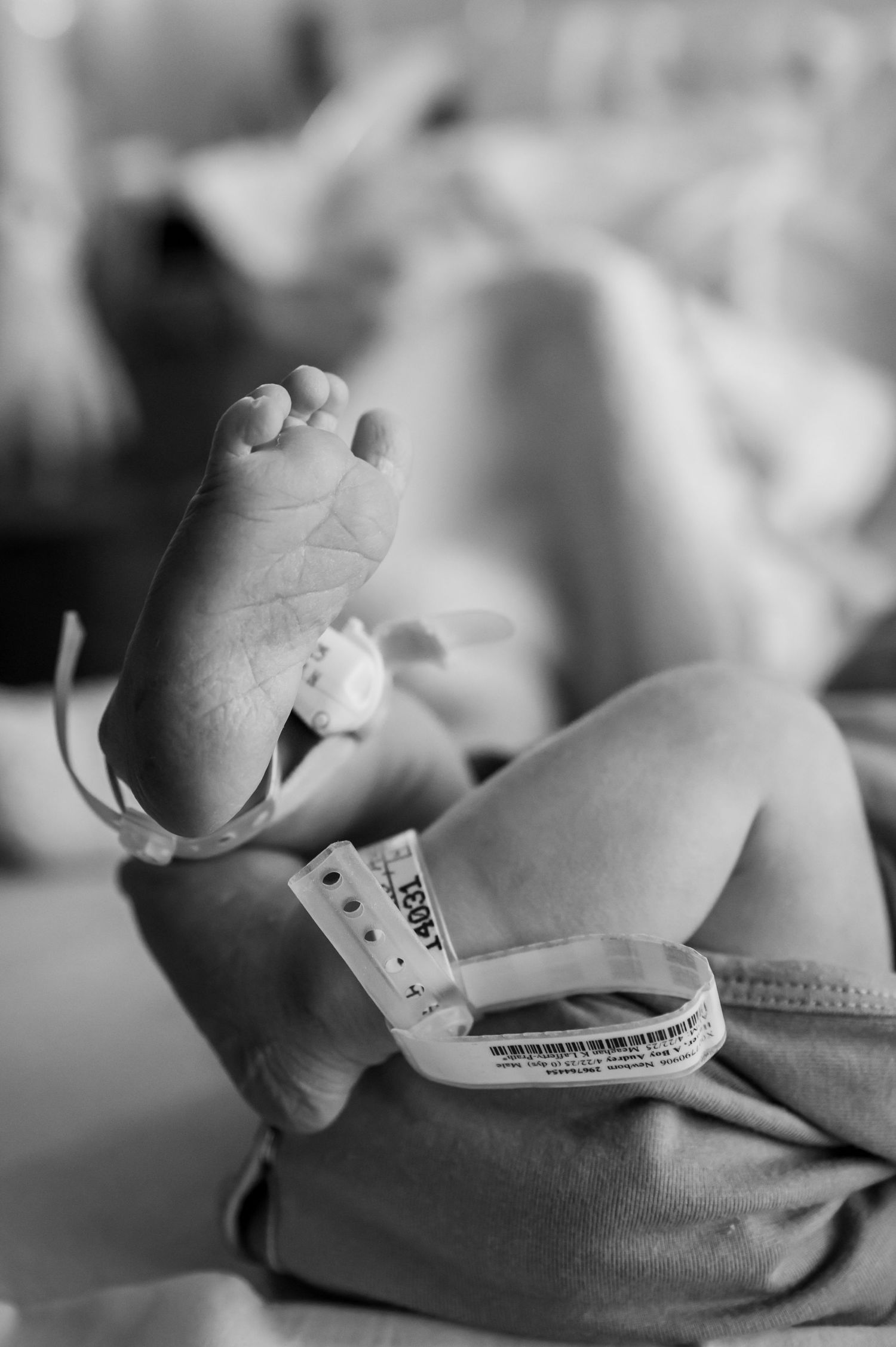 Newborn Photos Montana