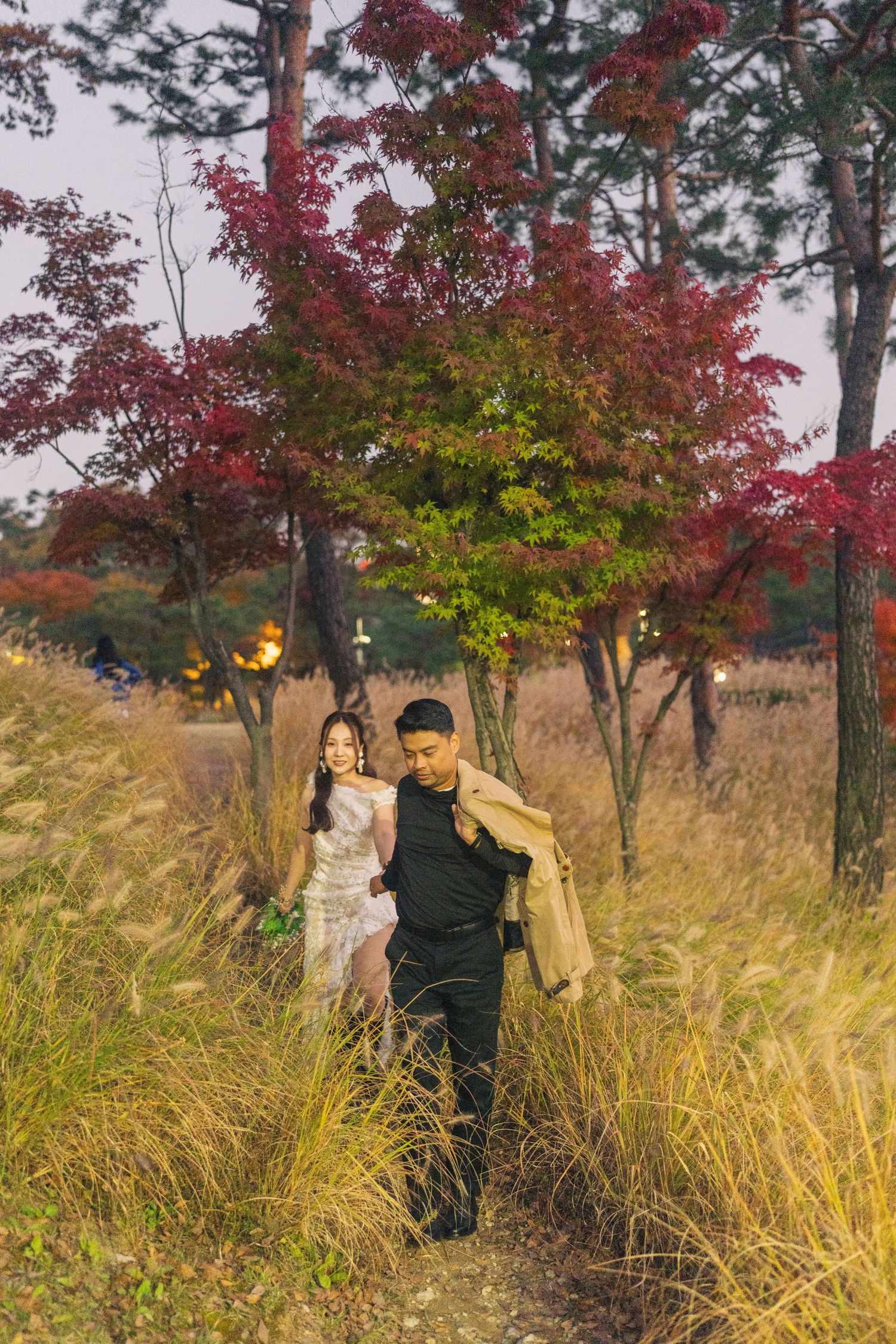A couple walks through tall autumn grass beneath vibrant red maple trees during golden hour.