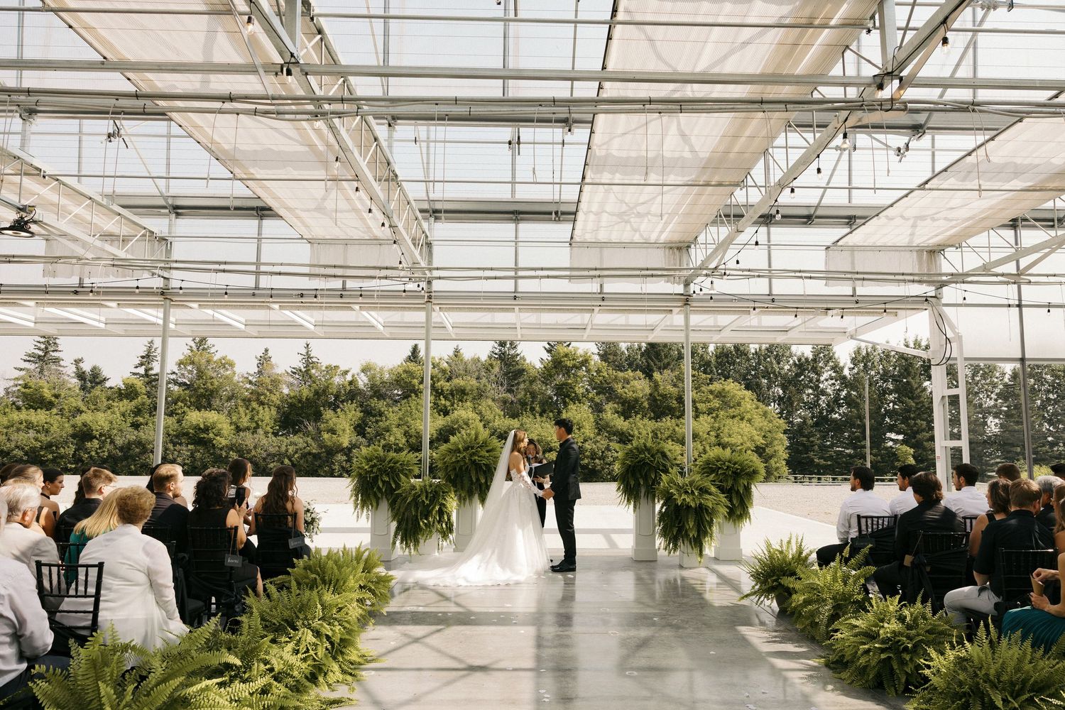 Interior view of a large commercial greenhouse with rows of plants and hanging baskets under bright lighting.