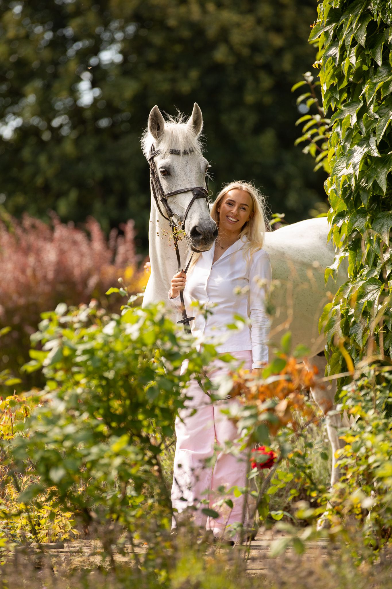A large cream-colored draft horse and its companion pause together in a sunlit autumn forest.