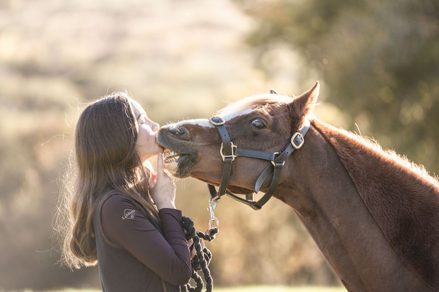 A person and brown horse share a tender moment in golden sunlight during an outdoor photoshoot.