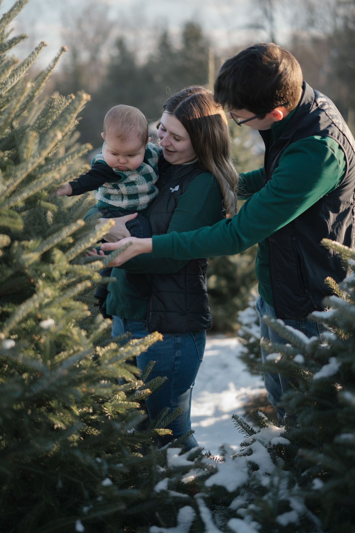 Christmas tree farm