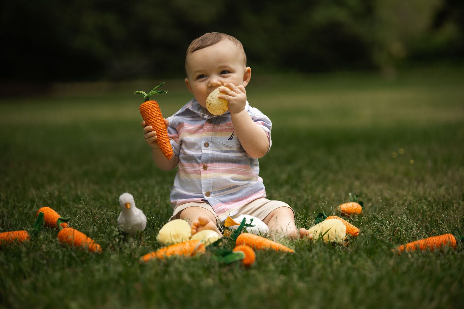 Aiken South Carolina Easter Session