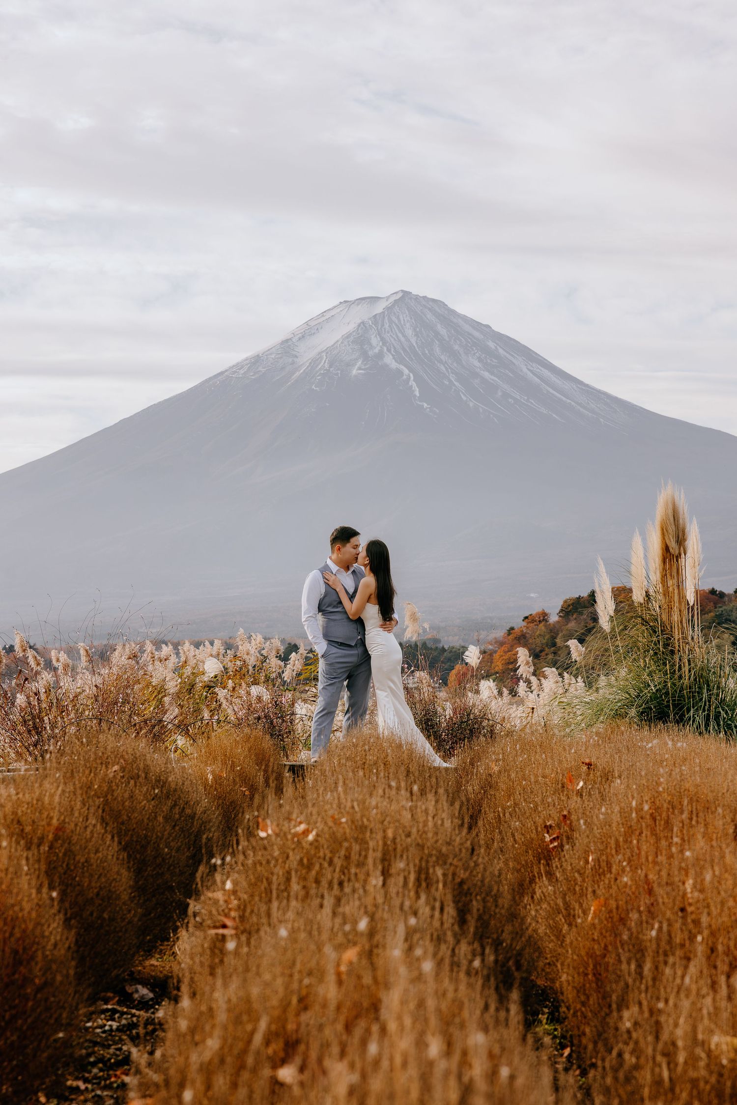 A scenic series of romantic moments captured in a golden field with Mount Fuji rising majestically in the background.