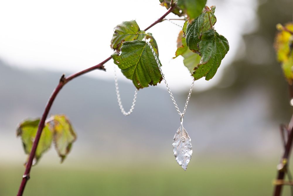 Frozen water droplets cling to bare tree branches with green leaves in a cold winter morning.