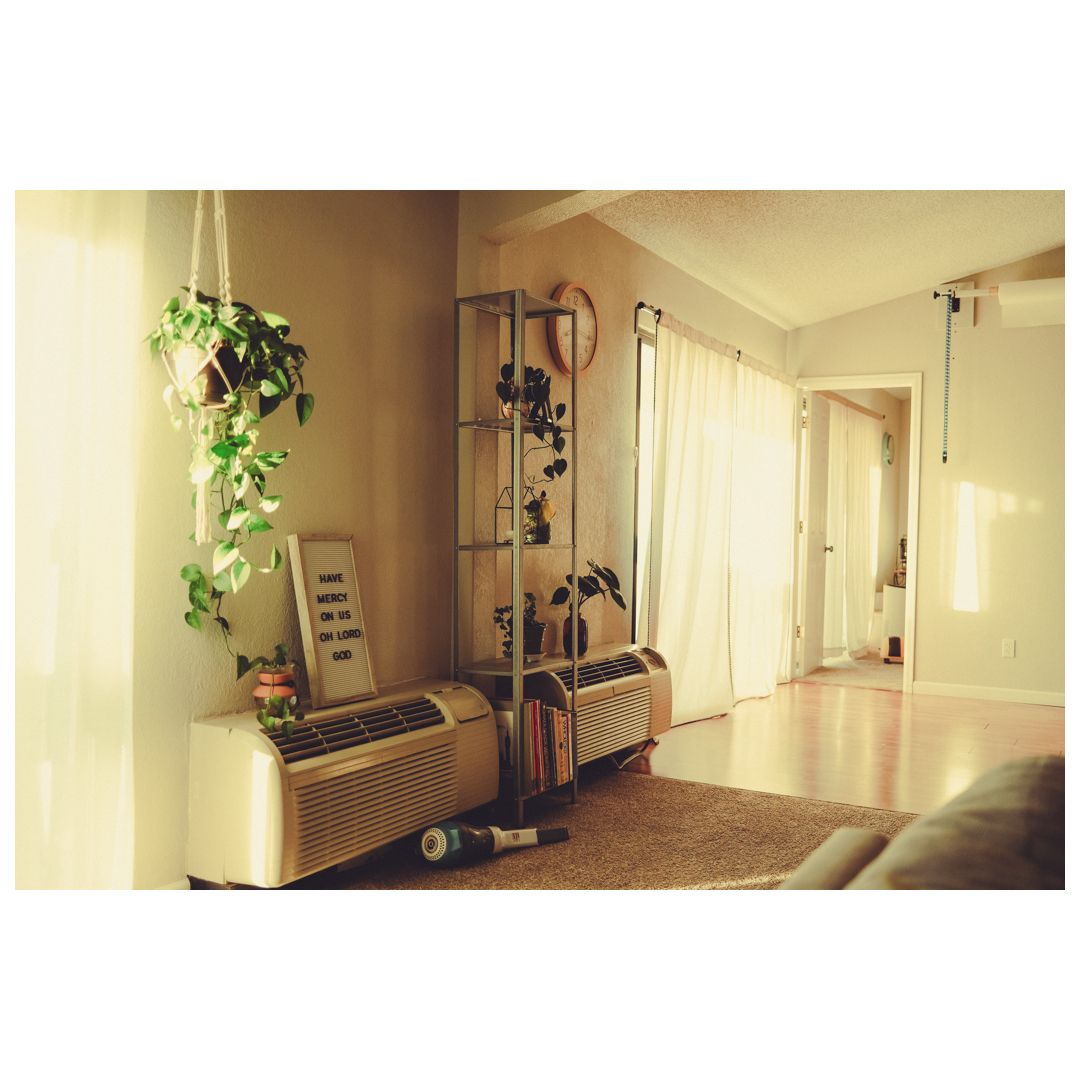 Interior hallway of an apartment building with beige carpet and white walls illuminated by natural light.