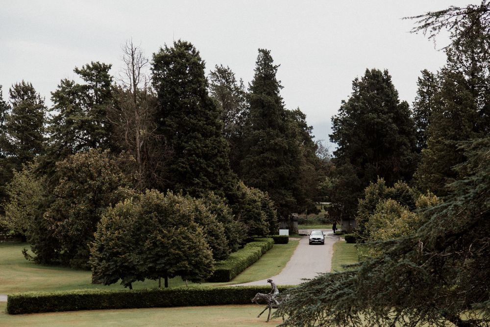 Scenic view of a tree-lined road with evergreen forest and cars in the distance on an overcast day.