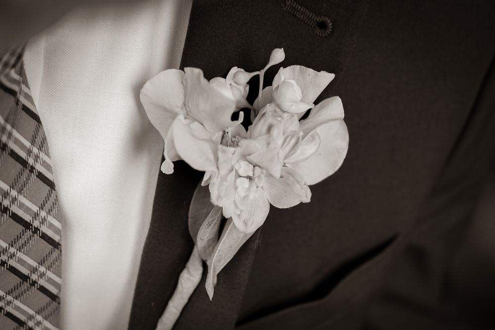 Black and white close-up photograph of delicate white orchid flowers against dark background.