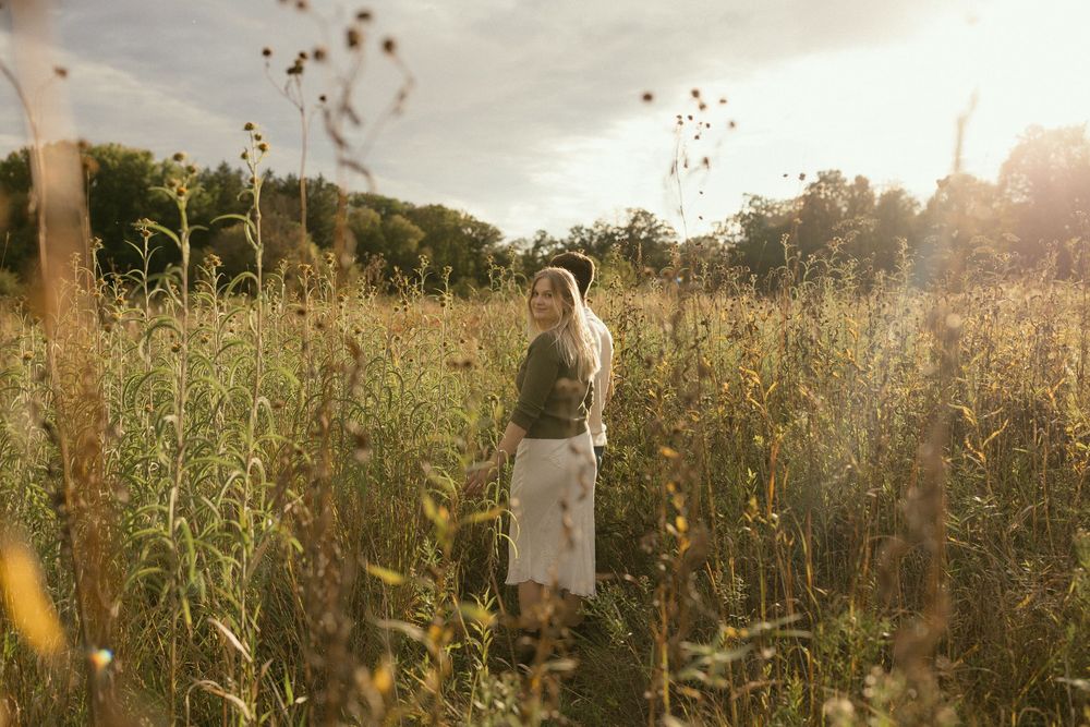 Wildflowers sway in a sunlit meadow with trees in the background.