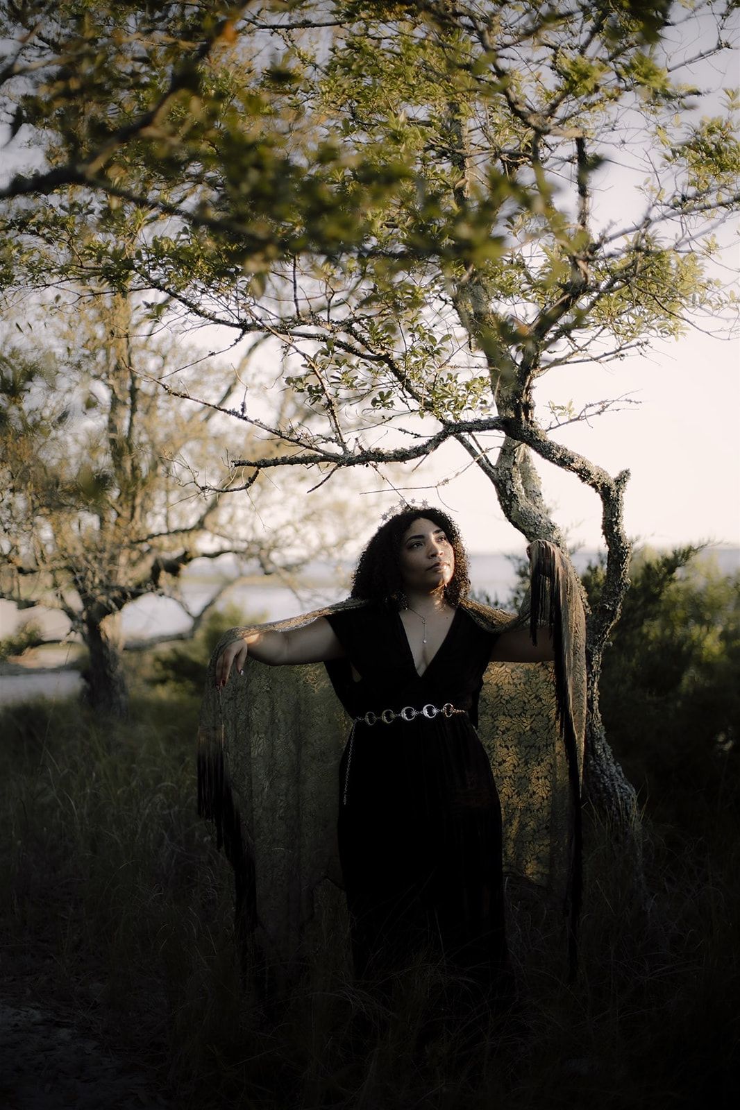 A series of moody silhouettes against a dark forest background with overhanging tree branches in dramatic lighting.
