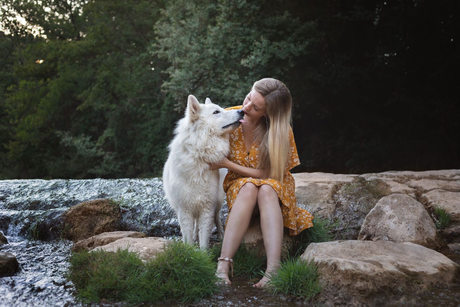 Séance photos animalières avec Allyson Photographies ( chiens chats chevaux ), à Cotignac dans le Var
