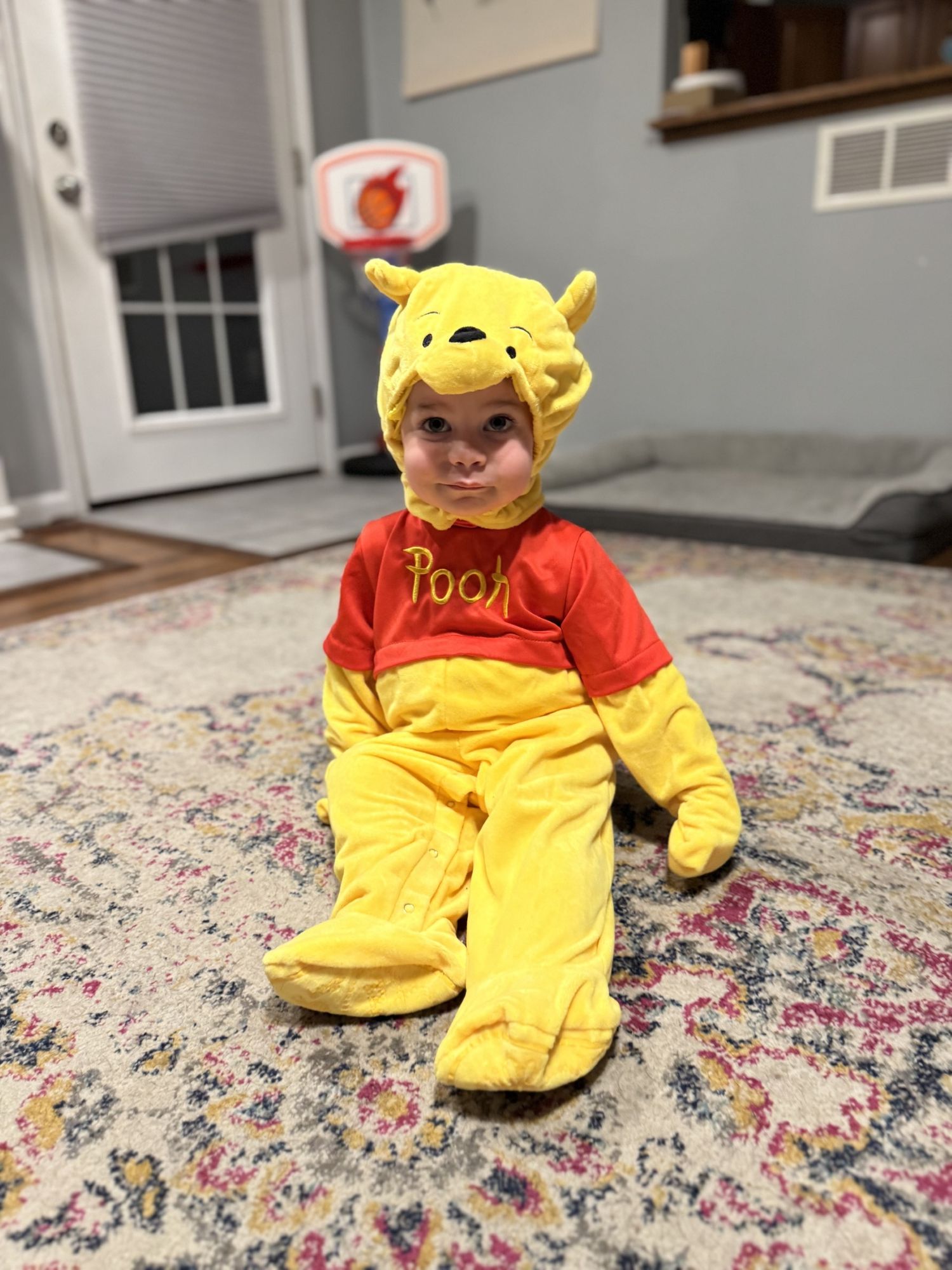 Springfield, IL Photographer shares her past year