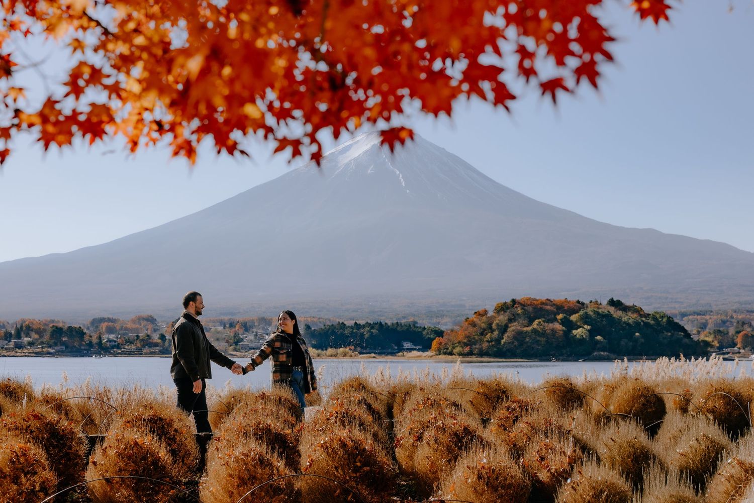 A panoramic view of autumn maple trees with vibrant red leaves against a mountain landscape in Japan.