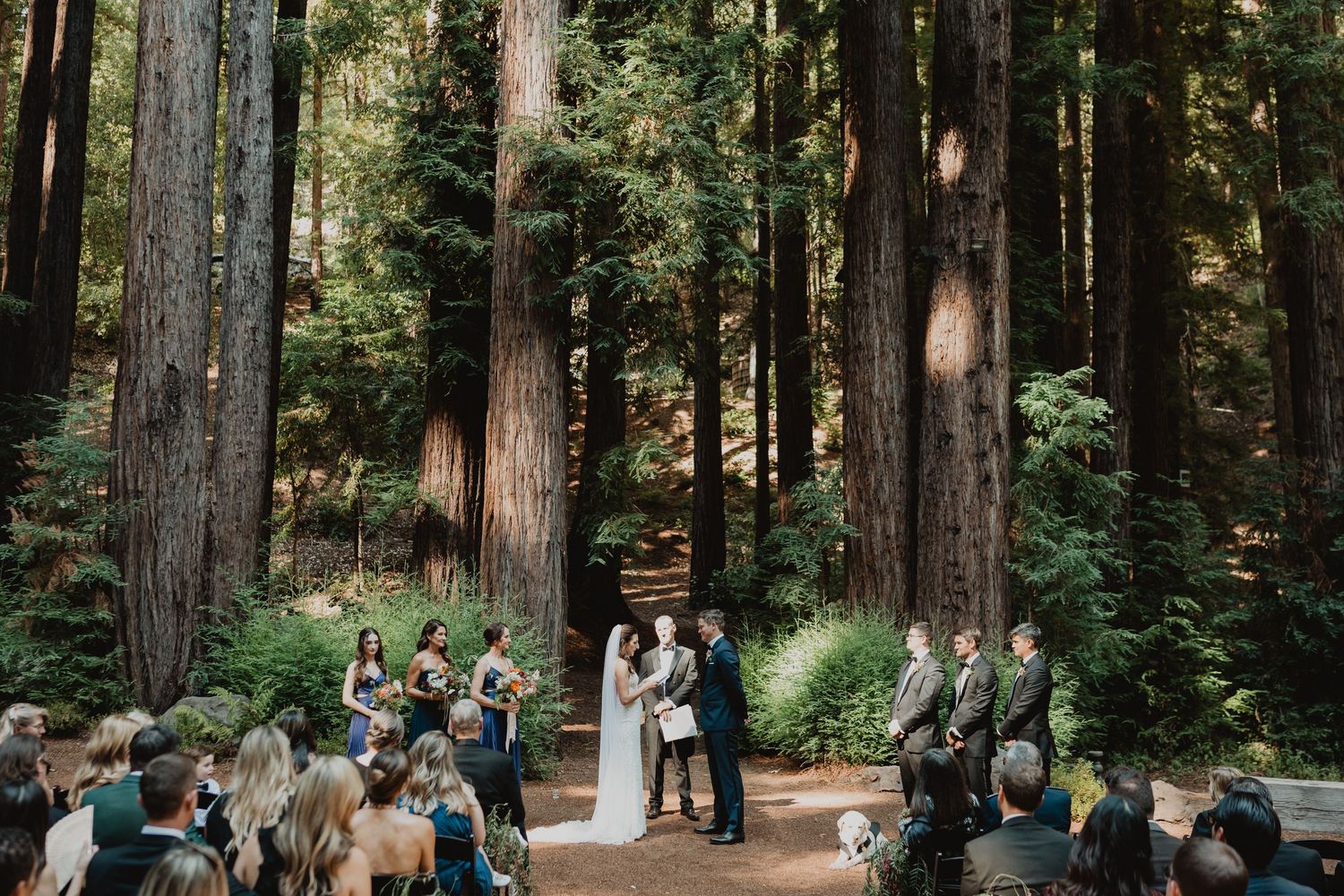 wedding ceremony at waterfall lodge