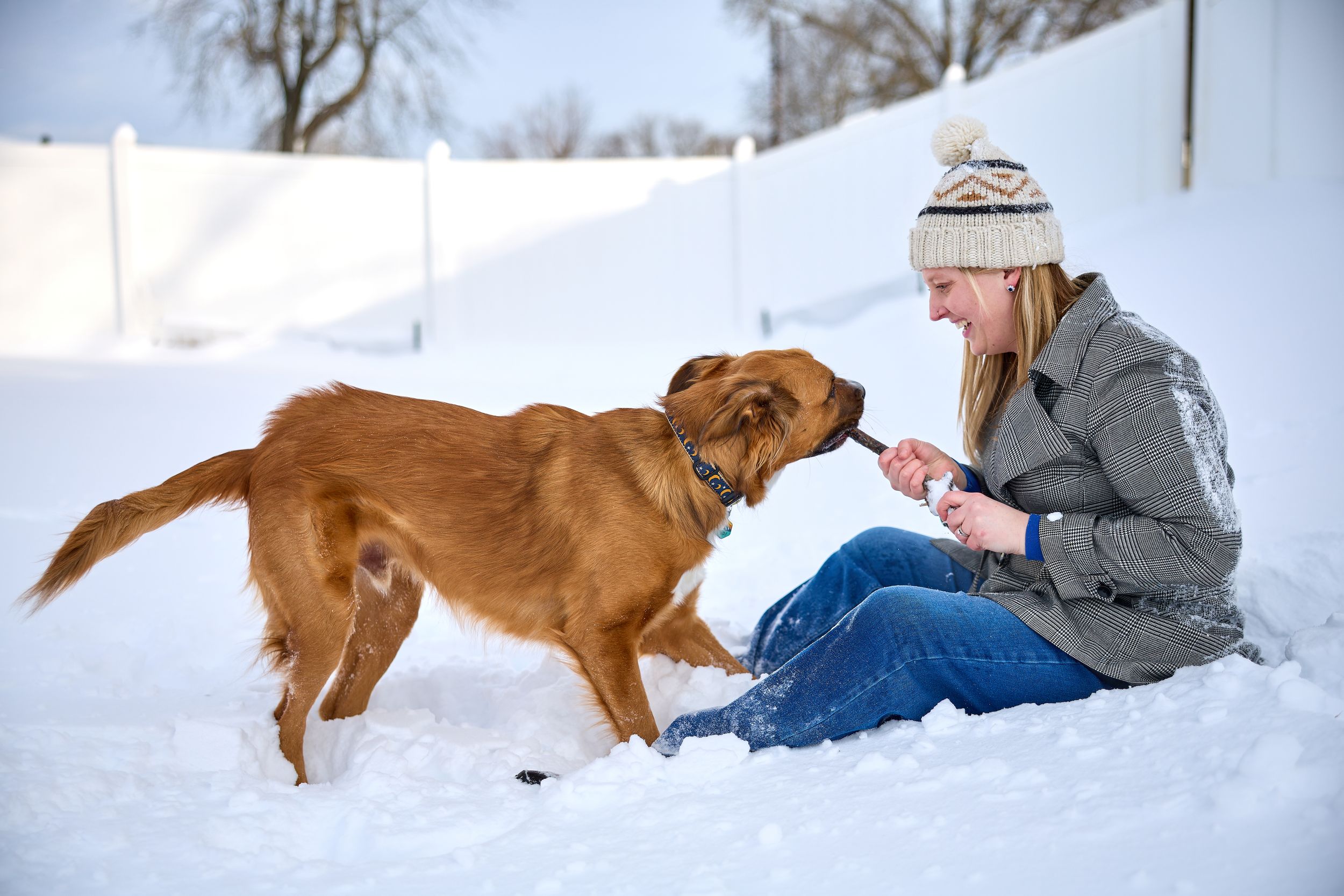 A dog and their owner play with a stick in the snow