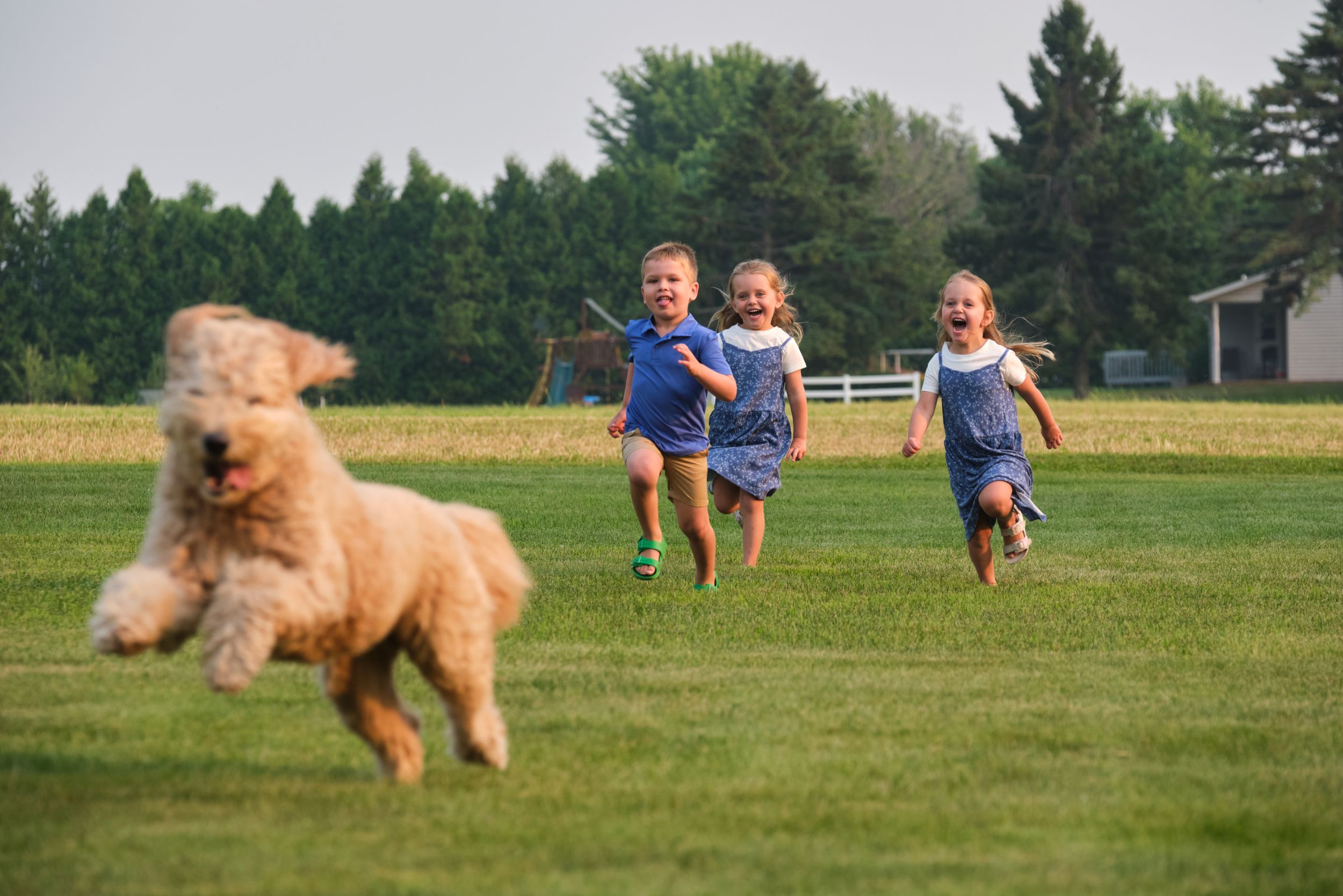 Children run in their yard while playing with a dog during a portrait session